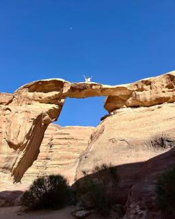 Isabella Desert Camp & Tour - 6