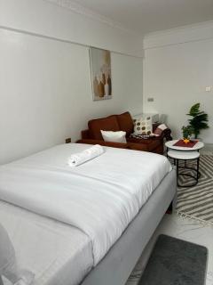 Furnished apartment in Kilimani,Nairobi - 7