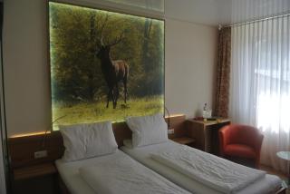 Hotel Jägerhof - Weibersbrunn - 8