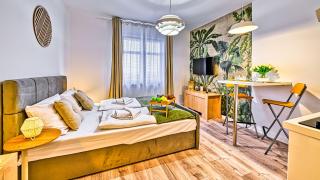 Karpacz Sucha, Sun & Snow - 9