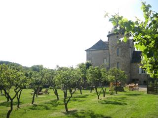 Chambres d'Hôtes du Hameau Les Brunes - Bozouls - 3