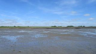 Ferienhaus - Kann - 3