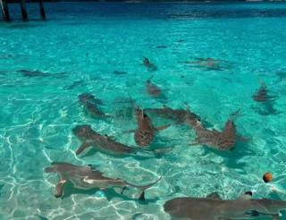 Au Keryai Homestay - 1