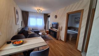 Holiday Residence Zlatibor free garage - 3