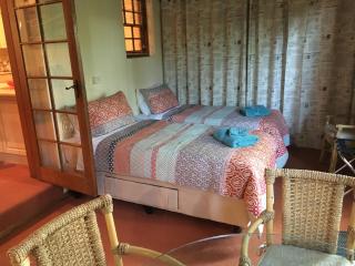 Kentia Palms - 7