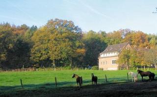 Forsthaus Schöntal - Aachen - 5