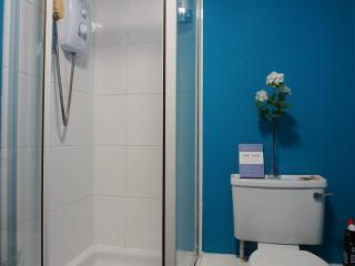 Dicksonfield - Modern 2 bed, 2 bath apartment close to city centre - 2