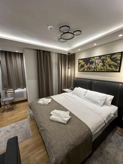 Vila Golija StudiovetKop - 6