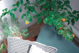 Entire Private HANOK Easy access Heart of Seoul - 6