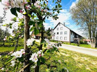 Ferienwohnung Ellenweiler bis 10 P - 8