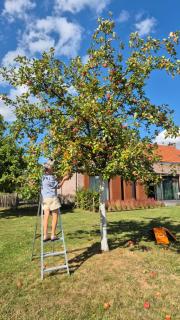 Gîte La Siroperie - 5