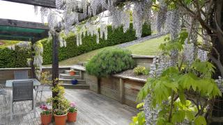 Criffel Peak View Bed and Breakfast - 8