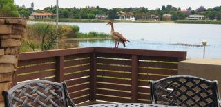 One O Eight Boutique Hotel - 3