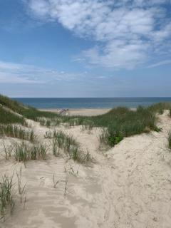 Stort sommerhus - Legeland for store og små - 2
