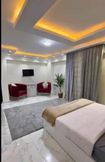 شقه فندقيه في قلب المهندسين - 0