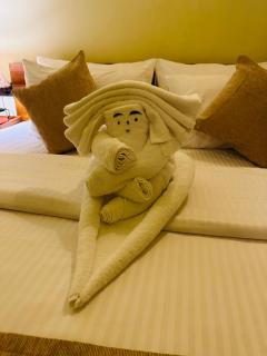 Green Heaven Sigiriya - 8