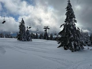 Kraljevi Čardaci apartman Lux 10 - 8