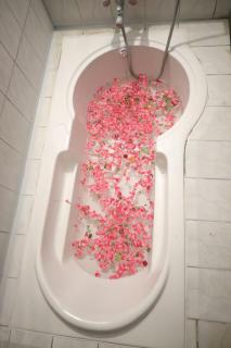 Hidden Pearle Beach View Villa - 3