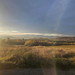 Căbănuțe lemn cu ciubăr - 9