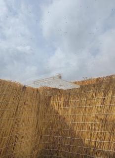 Clamping's Neusa - 6