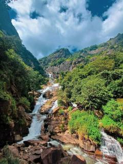 Ninearch Golden Cabana - 5