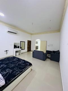 Frunished Studio and 1BKH - 4