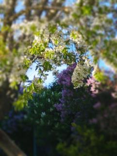 Loft La buena vida - 3