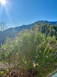 Des Ciappes et des Fées - 4