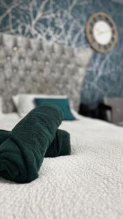 Studio Flat Jewellery Quarter Villa Stadium - 5