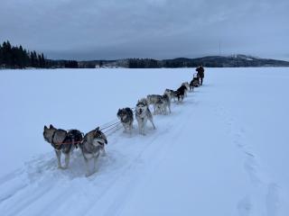 Juurikkalahti Adventure Center - 0