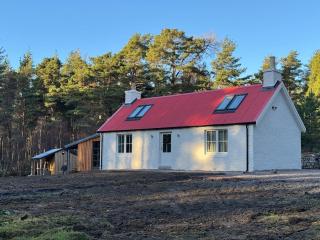 Cosy Highland Cottage in the Woods on Royal Deeside - 1