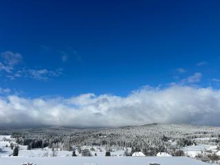 Pavla's Cozy Apartment - Haidmühle - 4