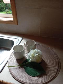 Cabaña Bosque Chucao - 1