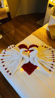 The Edens Glamp Munnar - 9