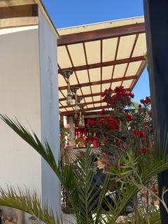 Maison verte - Guest House - 5