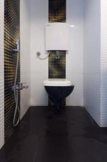 Serene and comfortable stay in Goregaon east - 6