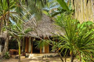 The Bamboo Houses - Tropical Gardens & Nature - 9