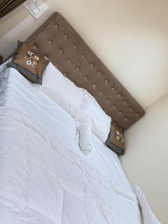 Shree ji palace hotel - 7