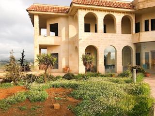 Appartment in Amman within a villa - 1