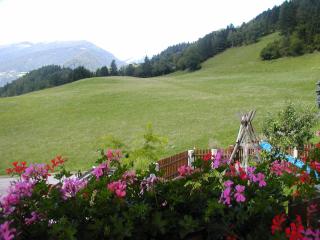 Mittagsspitz am Bauernhof - 5