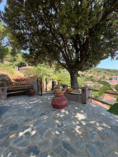 Alta Vista Guest House - 8