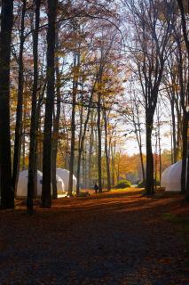 Ferncrest Campground - 4