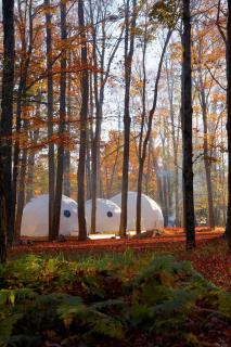 Ferncrest Campground - 9