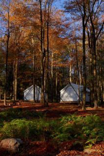 Ferncrest Campground - 6