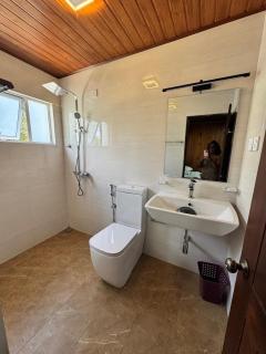 Single Tree Hotel - 8