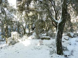 Rifugio Ortobene - 5