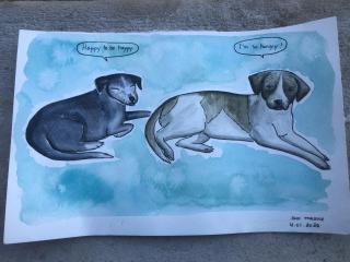 Cabañas Cinco Elementos - 4