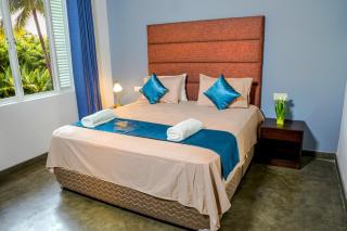 Coco forest camping - 5