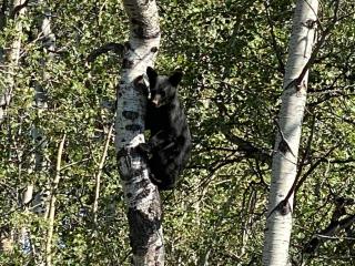 Glacier Summit-Spacious Modern Villa Near Glacier Park Part of Glacier Ridge Vacation Rental Collection - 2