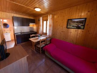 Bungalow 6 Personnes - Terrasse - API-1-52-1873 - 9